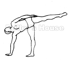 瑜珈體位法半月式